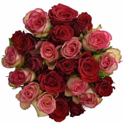 Kytice 21 míchaných růží ODETTE 50cm