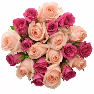 Míchaná kytice 21 vícebarevných růží PINACHE 60 cm