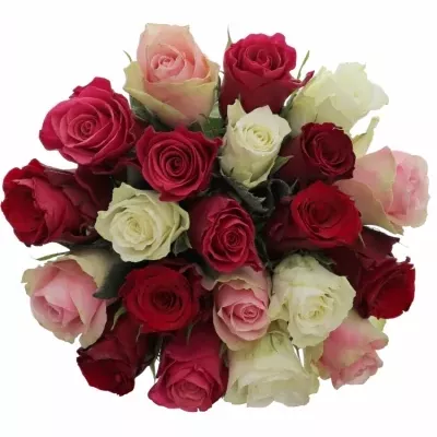 Kytice 21 míchaných růží RADWAN 40cm