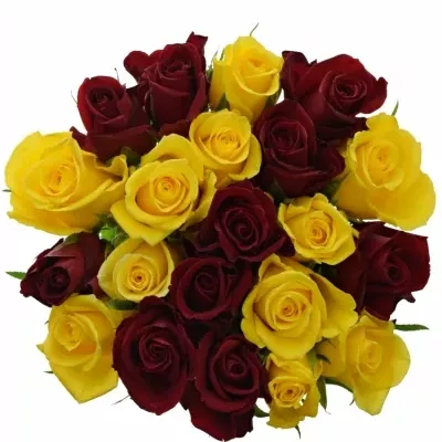 Míchaná kytice 21 vícebarevných růží RED DELTA 70 cm