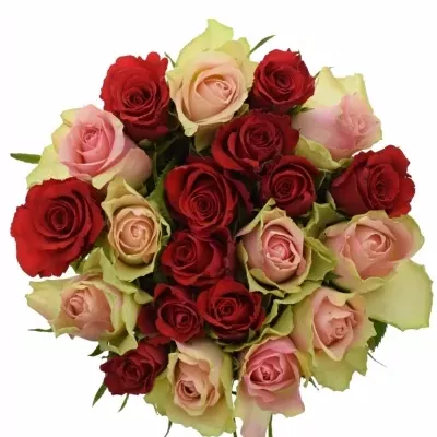 Kytice 21 míchaných růží ROSEBELLINE 60cm