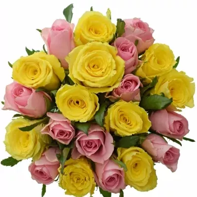 Míchaná kytice 21 vícebarevných růží SHANLEY 70 cm