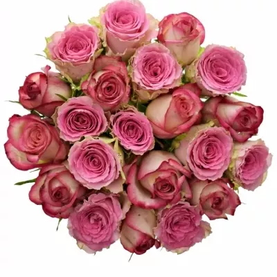 Míchaná kytice 21 vícebarevných růží TIMESTELLE 60 cm