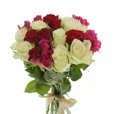 Kytice 21 míchaných růží WHITE GRACIANA 35cm