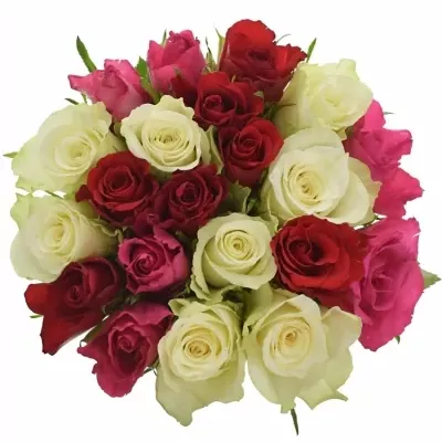 Míchaná kytice 21 vícebarevných růží WHITE GRACIANA 40 cm