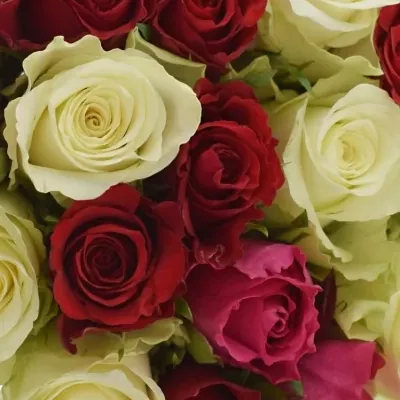 Kytice 21 míchaných růží WHITE GRACIANA 35cm