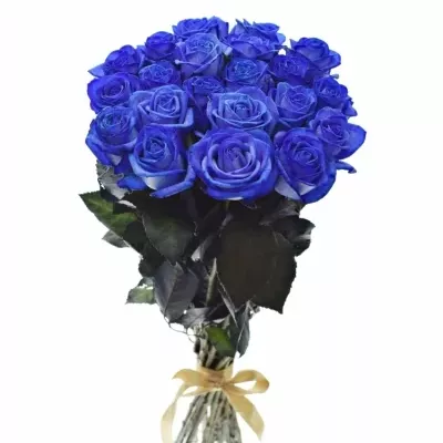 Kytice 21 modrých růží BLUE VENDELA