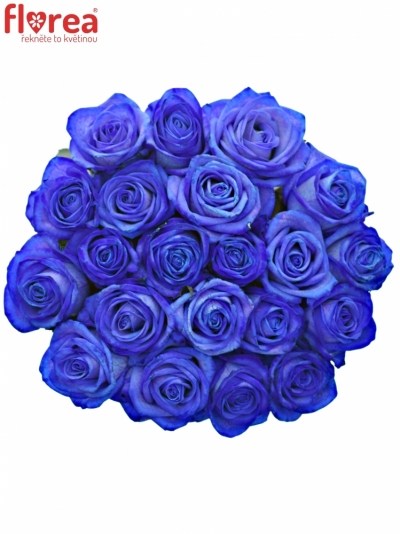 Kytice 21 modrých růží BLUE VENDELA 60cm