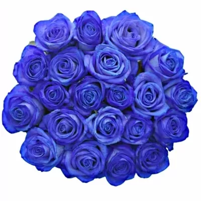 Jednodruhová kytice 21 modrých růží BLUE VENDELA 70 cm