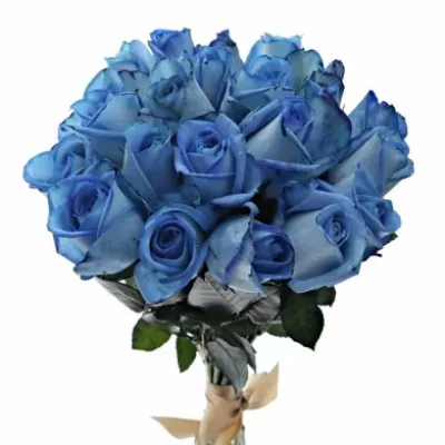 Kytice 21 modrých růží LIGHT BLUE SNOWSTORM