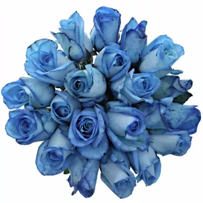 Kytice 21 modrých růží LIGHT BLUE SNOWSTORM 90cm