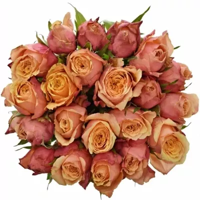 Kytice 21 oranžovočervených růží ALTAMODA 60cm