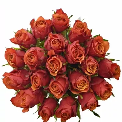 Kytice 21 oranžovočervených růží ESPANA 40cm