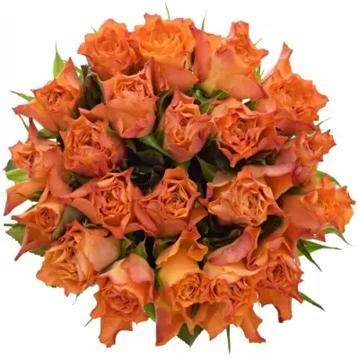 Kytice 21 oranžových růží AMINA 40cm