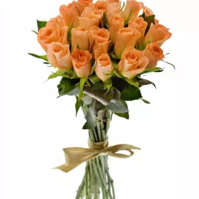 Kytice 21 oranžových růží CHELSEA 40cm