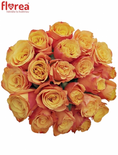 Kytice 21 oranžových růží CONFIDENTIAL 50cm