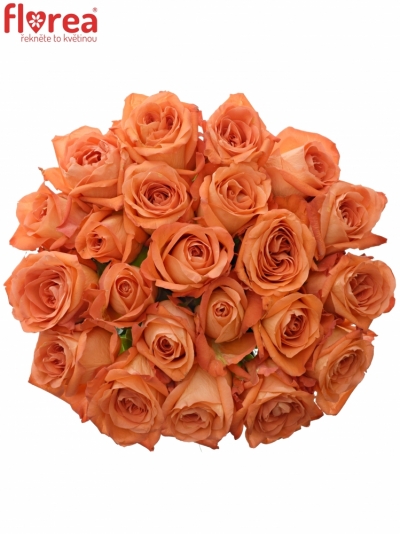 Kytice 21 oranžových růží COPACABANA 50cm