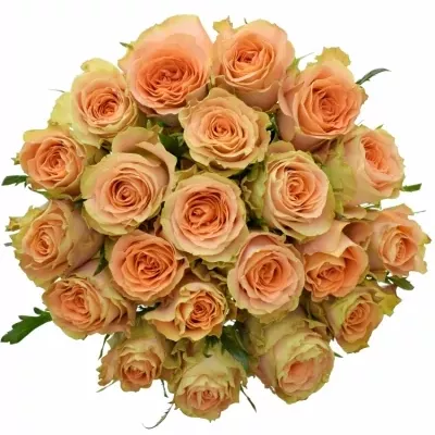 Kytice 21 oranžových růží FLORENTINE