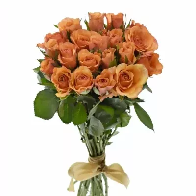 Kytice 21 oranžových růží JULIA 40cm