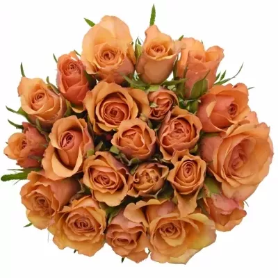 Kytice 21 oranžových růží JULIA 40cm
