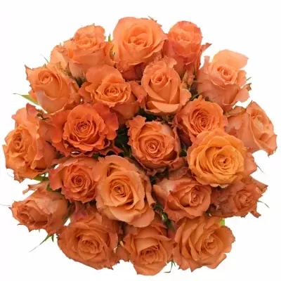 Kytice 21 oranžových růží JULISCHKA 40cm