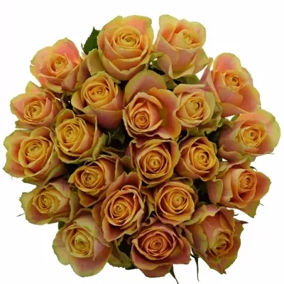 Kytice 21 oranžových růží MARACUJA 40cm