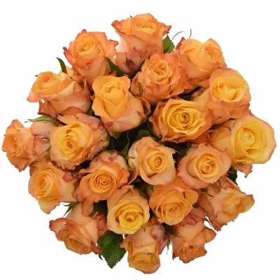 Kytice 21 oranžových růží MONALISA 50cm
