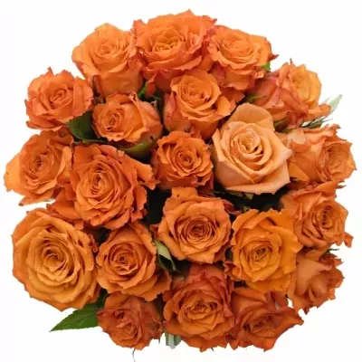 Kytice 21 oranžových růží Mpesa 50cm