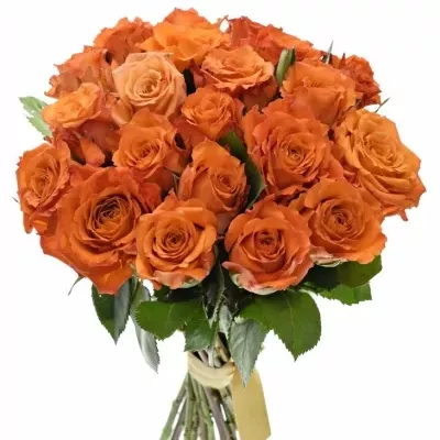 Kytice 21 oranžových růží Mpesa 70cm