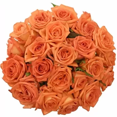 Kytice 21 oranžových růží NARANGA