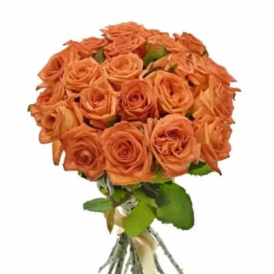 Kytice 21 oranžových růží NARANGA