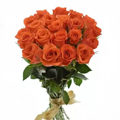 Kytice 21 oranžových růží PATZ 60cm