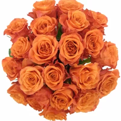 Kytice 21 oranžových růží TABASCO 40cm