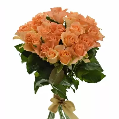 Kytice 21 oranžových růží TRIXX!