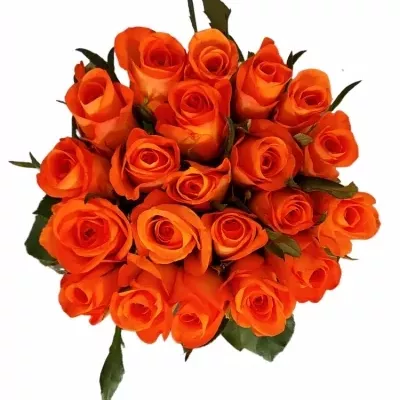 Kytice 21 oranžových růží TROPICAL AMAZONE 35cm