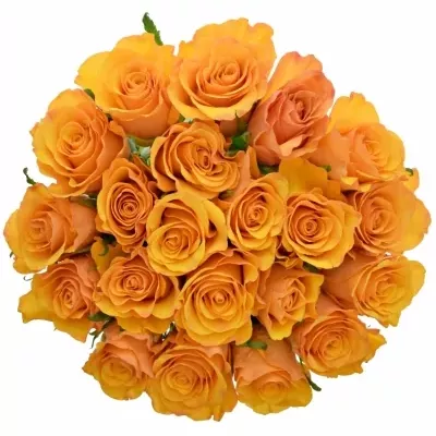Kytice 21 oranžových růží TYCOON 80cm