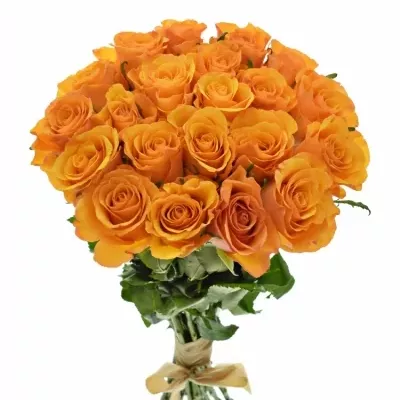 Kytice 21 oranžových růží TYCOON