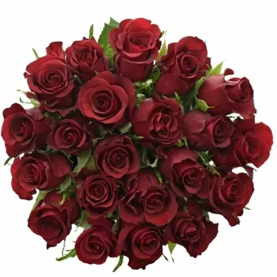 Kytice 21 rudých růží BURGUNDY 40cm
