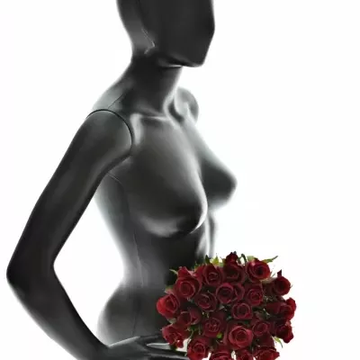 Kytice 21 rudých růží BURGUNDY 50cm 