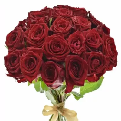 Kytice 21 rudých růží RED NAOMI!