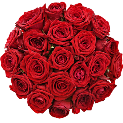 Jednodruhová kytice 21 červených růží RED NAOMI! 70 cm
