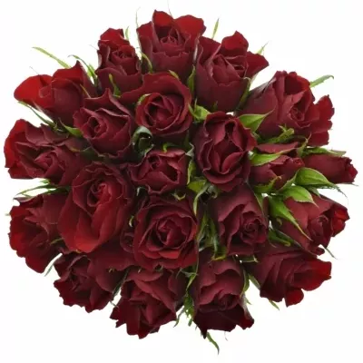 Kytice 21 rudých růží RED TIFFANY