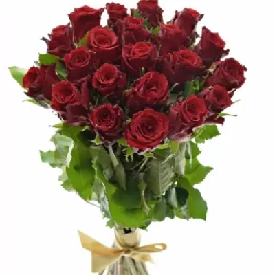 Kytice 21 rudých růží RED TORCH 40cm