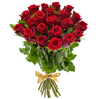 Kytice 21 rudých růží RED TORCH 40cm