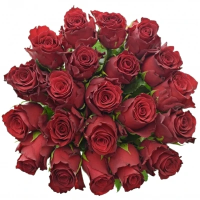 Kytice 21 rudých růží RHODOS