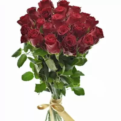 Kytice 21 rudých růží RHODOS