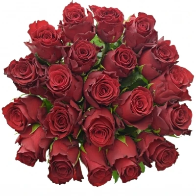 Kytice 21 rudých růží RHODOS