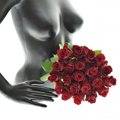 Kytice 21 rudých růží RHODOS