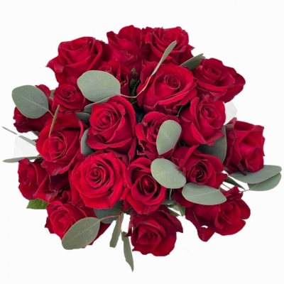 Kytice 21 růží EVER RED 60 cm + EUCALYPTUS