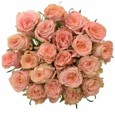 Kytice 21 růží LOVE PEARL 50cm